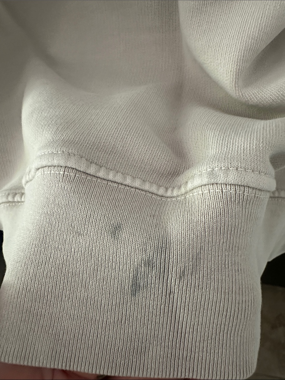 Anine Bing Tiger Sweatshirt in Stone Large - Picture 10 of 12